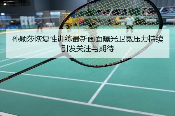 孙颖莎恢复性训练最新画面曝光卫冕压力持续引发关注与期待