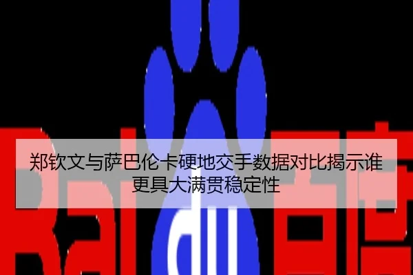 郑钦文与萨巴伦卡硬地交手数据对比揭示谁更具大满贯稳定性