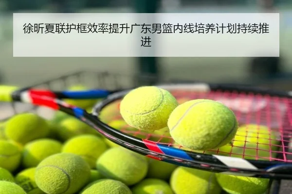 徐昕夏联护框效率提升广东男篮内线培养计划持续推进