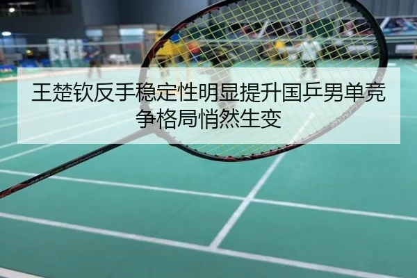王楚钦反手稳定性明显提升国乒男单竞争格局悄然生变